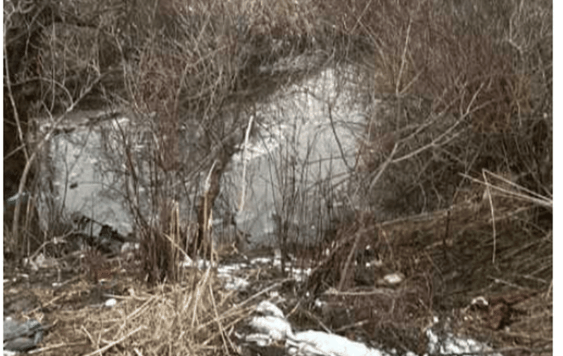 O fetiță de 6 ani și fratele ei de 9 ani au murit înecați într-un pârâu din apropierea locuinței