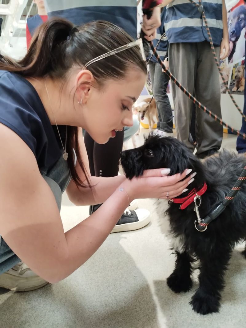 Evenimentele care vor avea loc în weekendul 7-8 februarie 2026 