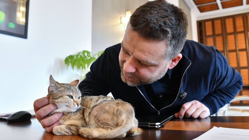 Cathy, noua pisică de birou a primarului general al Capitalei: Ciprian Ciucu: "A fost &laquo;chimie&raquo; &icirc;ntre noi la prima vedere"