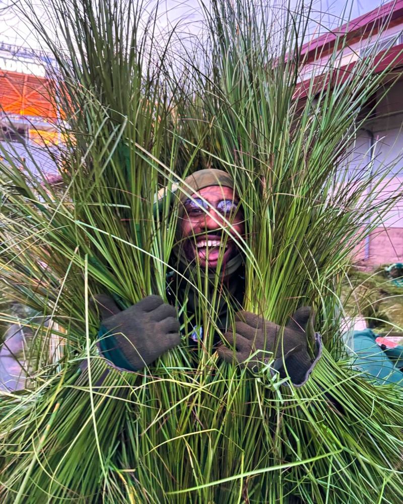 Incredibil cu cât se vinde un costum purtat în timpul spectacolului lui Bad Bunny de la Super Bowl 