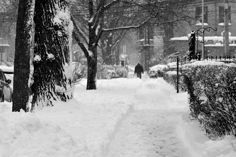 Cum va fi vremea în următoarele zile? 