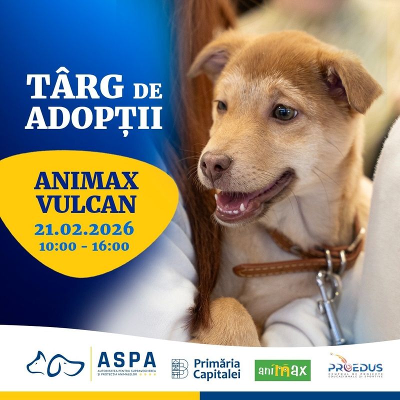 Evenimentele care vor avea loc în weekendul 21-22 februarie 2026 în București 