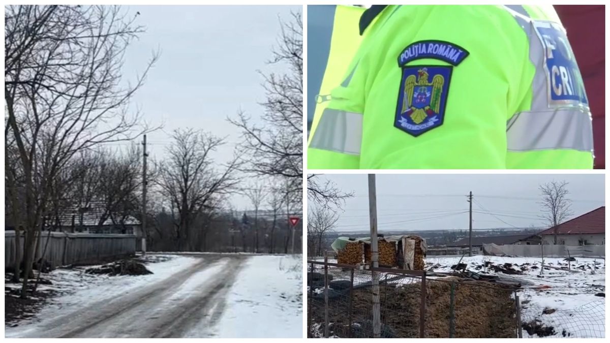 Noi detalii despre crima din Botoşani