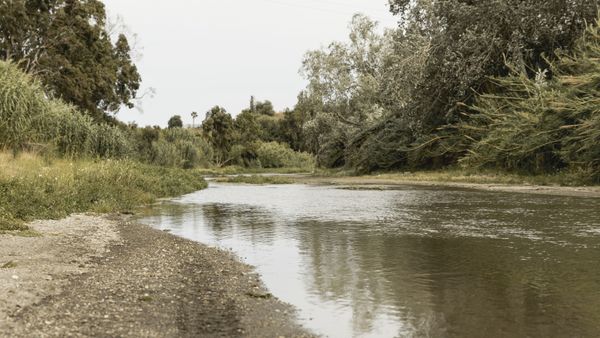 Descoperire cutremurătoare! Trupul ne&icirc;nsuflețit al unei femei de 63 de ani a fost găsit &icirc;n albia r&acirc;ului Arieș. Familia a dat-o dispărută săptăm&acirc;na trecută