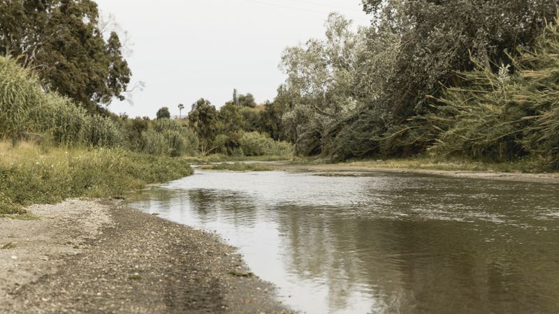 Descoperire cutremurătoare! Trupul ne&icirc;nsuflețit al unei femei de 63 de ani a fost găsit &icirc;n albia r&acirc;ului Arieș. Familia a dat-o dispărută săptăm&acirc;na trecută