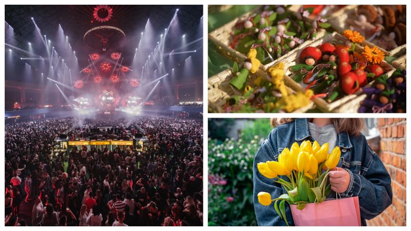 Ce faci &icirc;n weekendul 6-8 martie 2026. Topul celor mai tari concerte, spectacole, t&acirc;rguri și festivaluri. La ce evenimente poți să mergi &icirc;n București de Ziua Femeii?