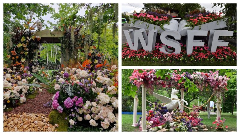 C&acirc;nd are loc West Side Flower Fest 2026? Cel mai mare festival al florilor din Rom&acirc;nia revine cu a patra ediție &icirc;n Parcul Drumul Taberei din Sectorul 6