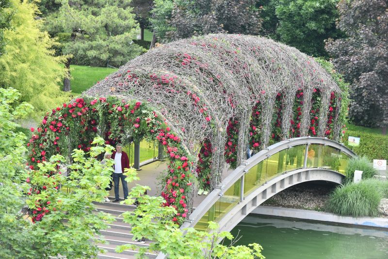 Primăria Sectorului 6 a dat primele detalii despre West Side Flower Fest 2026 