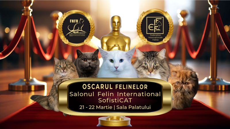 Ce festivaluri au loc în weekend? 