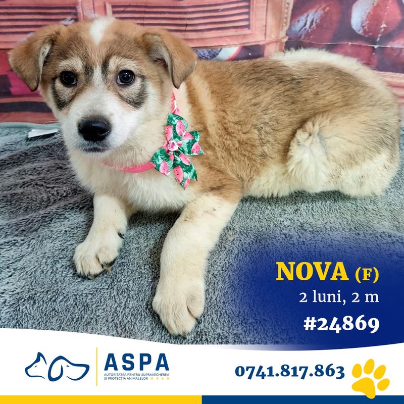 Vezi evenimentele care vor avea loc în București în weekend 