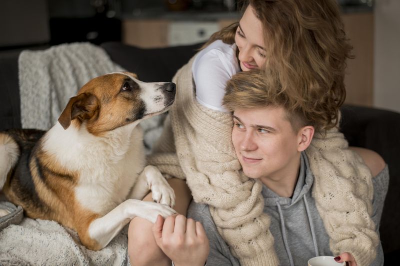 Proiect de lege important pentru toți cei care dețin animale de companie 