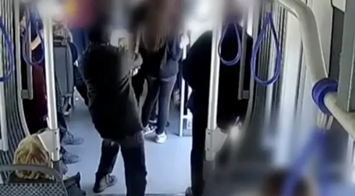 O fată de 17 ani, atacată cu un trafalet de un necunoscut