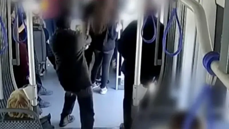 Detalii revoltătoare despre cazul fetei din Craiova care a fost lovită  &icirc;n cap de un necunoscut. S-A AFLAT IDENTITATEA bărbatului, iar motivul faptei e HALUCINANT