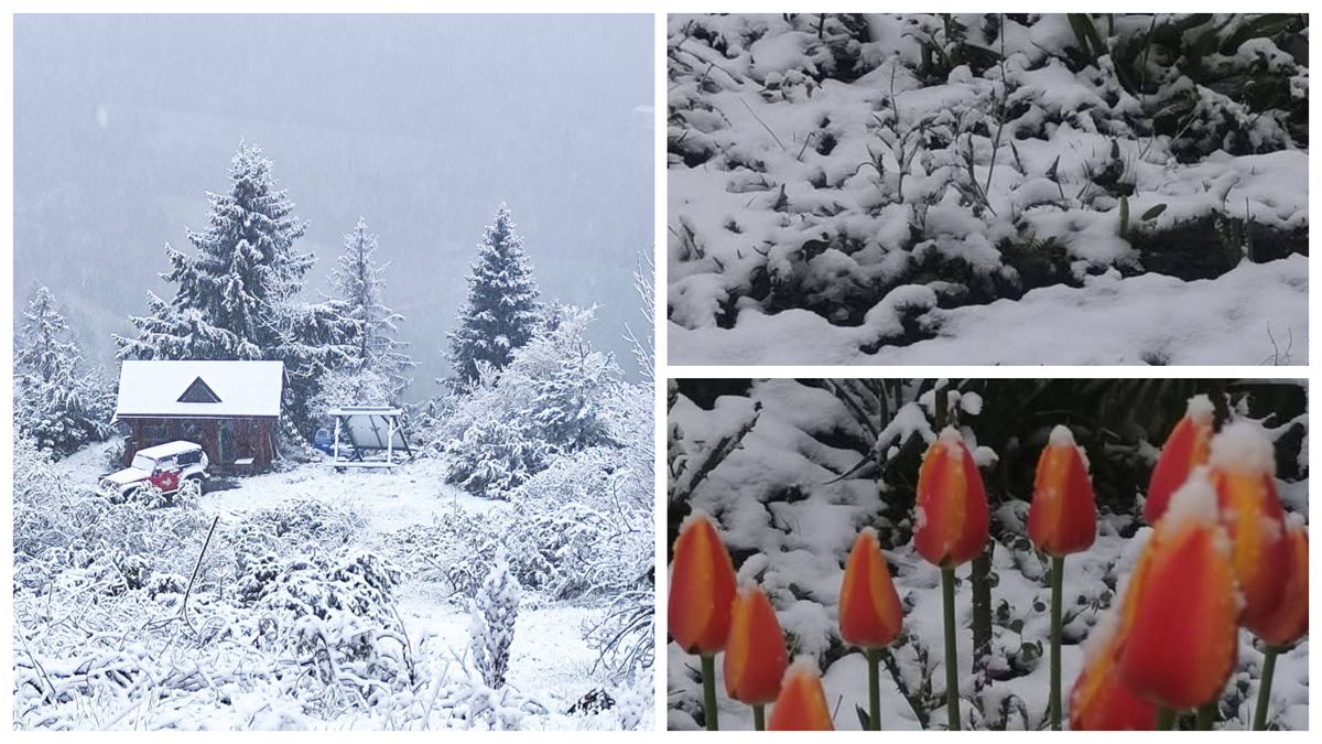 Vreme deosebit de rece la final de aprilie 