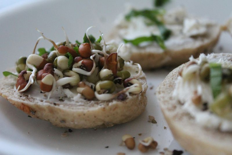 Țările în care a fost depistat focarul de salmoneloză 