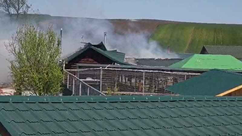 Incendiu puternic la grădina zoologică din Zaharești.