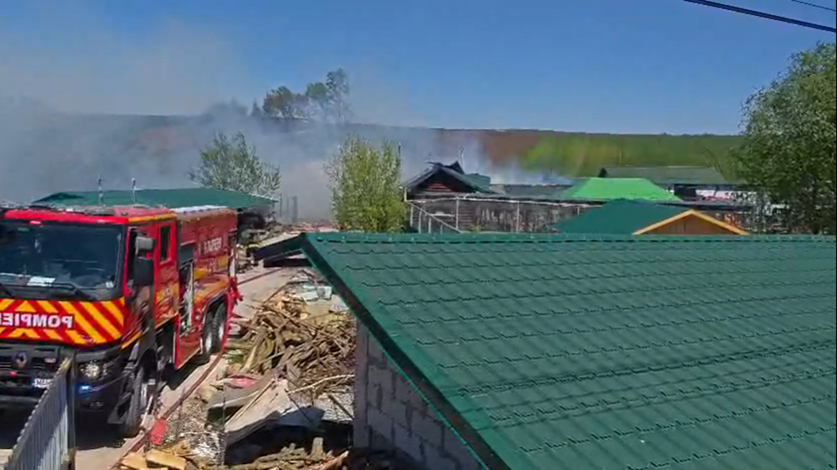 Incendiu puternic la grădina zoologică din Zaharești.
