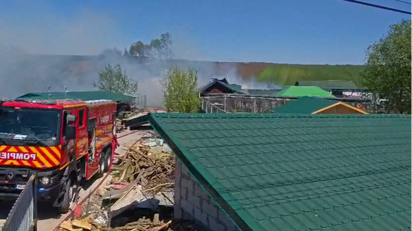 A MURIT PRIMUL ȘI SINGURUL ligru din Rom&acirc;nia &icirc;n incendiul izbucnit la grădina zoologică din Zaharești. Ce s-a &icirc;nt&acirc;mplat cu stăp&acirc;nul exemplarului rar și care este CAUZA TRAGEDIEI