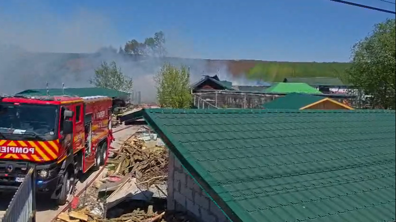 A MURIT PRIMUL ȘI SINGURUL ligru din Rom&acirc;nia &icirc;n incendiul izbucnit la grădina zoologică din Zaharești. Ce s-a &icirc;nt&acirc;mplat cu stăp&acirc;nul exemplarului rar și care este CAUZA TRAGEDIEI