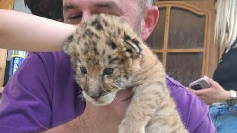 Incendiu la grădina zoologică din Zaharești