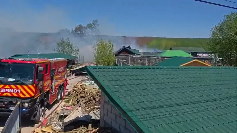 Un incendiu puternic a izbucnit la colțul zoologic „Arca lui Noe” de la Zaharești 