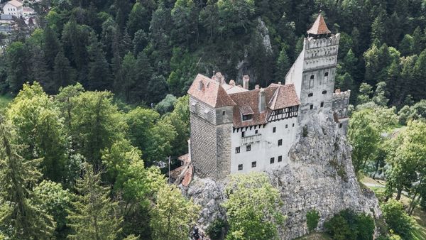 Cine este Joel Weinshanker, americanul care a cumpărat Castelul Bran? Acesta se ocupă și de moștenirea legendarului Elvis Presley