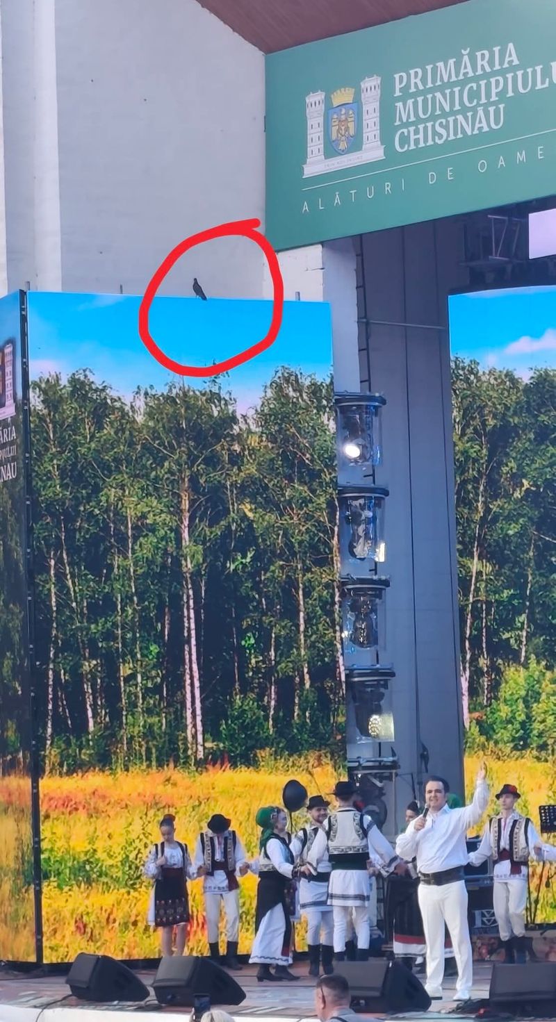 Ce a transmis Igor Cuciuc în mediul online? 