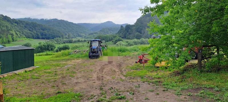 Un tânăr de 34 de ani a fost ucis de un urs la ieșirea din localitatea Prod