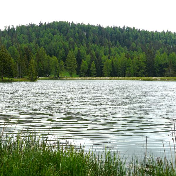 UPDATE: Mobilizare de forțe &icirc;n Arad, unde un copil a intrat să se scalde &icirc;ntr-un lac și nu a mai ieșit. Acesta a fost extras din apă &icirc;n stare de inconștiență, iar &icirc;n ciuda eforturilor depuse de echipajul medical a fost declarat decedat