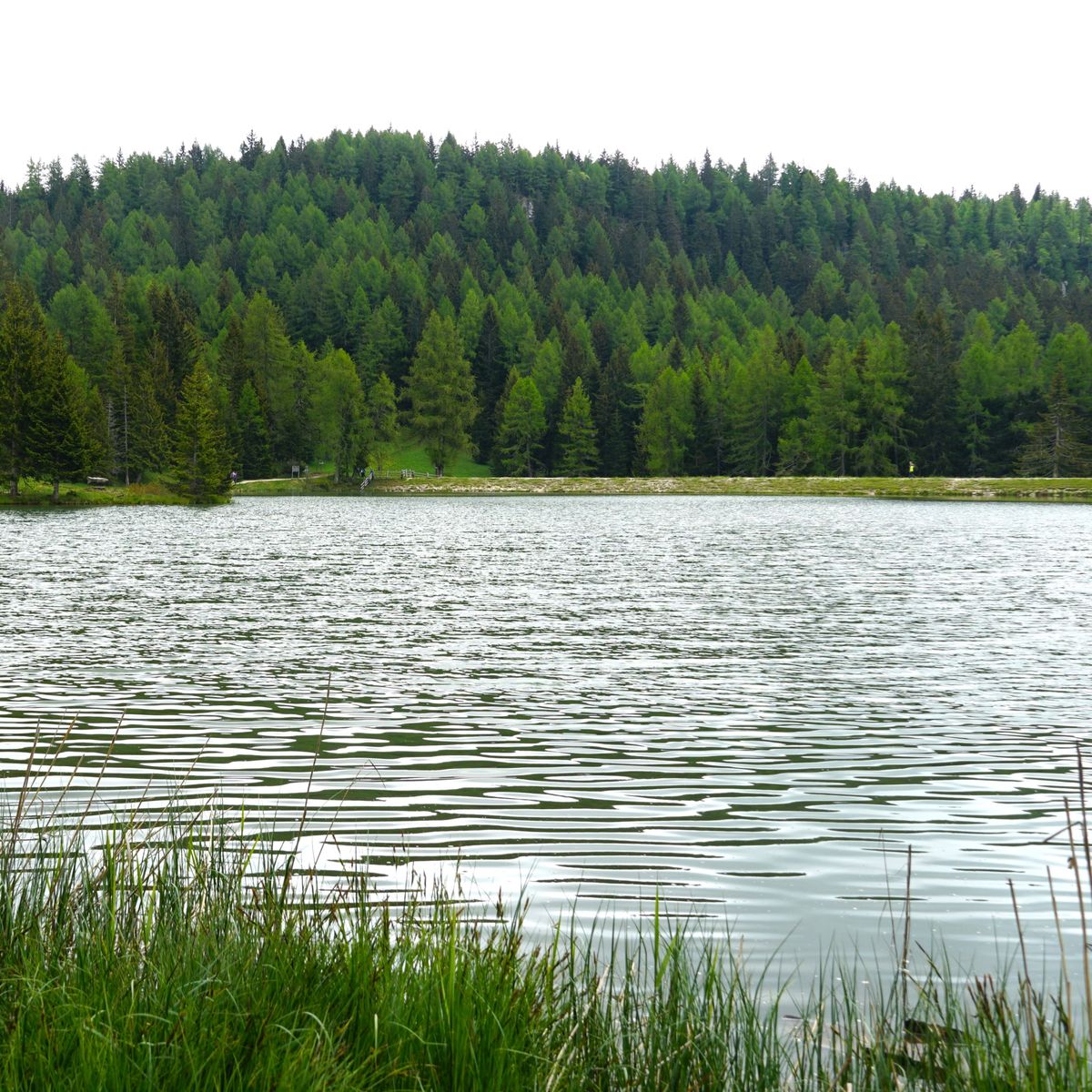 Un copil a fost căutat de scafandrii după ce a intrat &icirc;ntr-un lac si nu a mai ieșit 