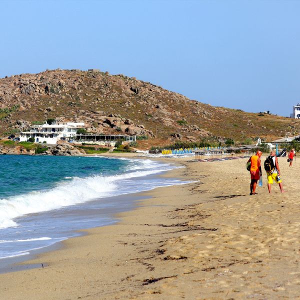 Pericol pentru turiștii care se pregătesc să meargă la mare &icirc;n Grecia. La ce trebuie să fie atenți aceștia după ce mai multe persoane au ajuns la spital mușcate de un pește?