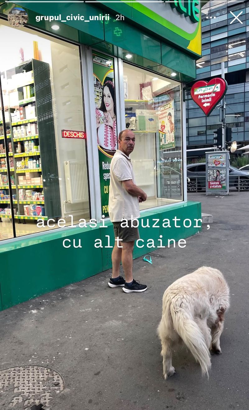 acelasi barbat a fost vazut plimband alt caine