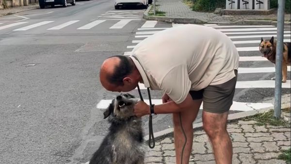 EXCLUSIV! Bărbat filmat &icirc;n timp ce amenința că &icirc;și omoară c&acirc;inele. Declarația persoanei care a surprins momentul