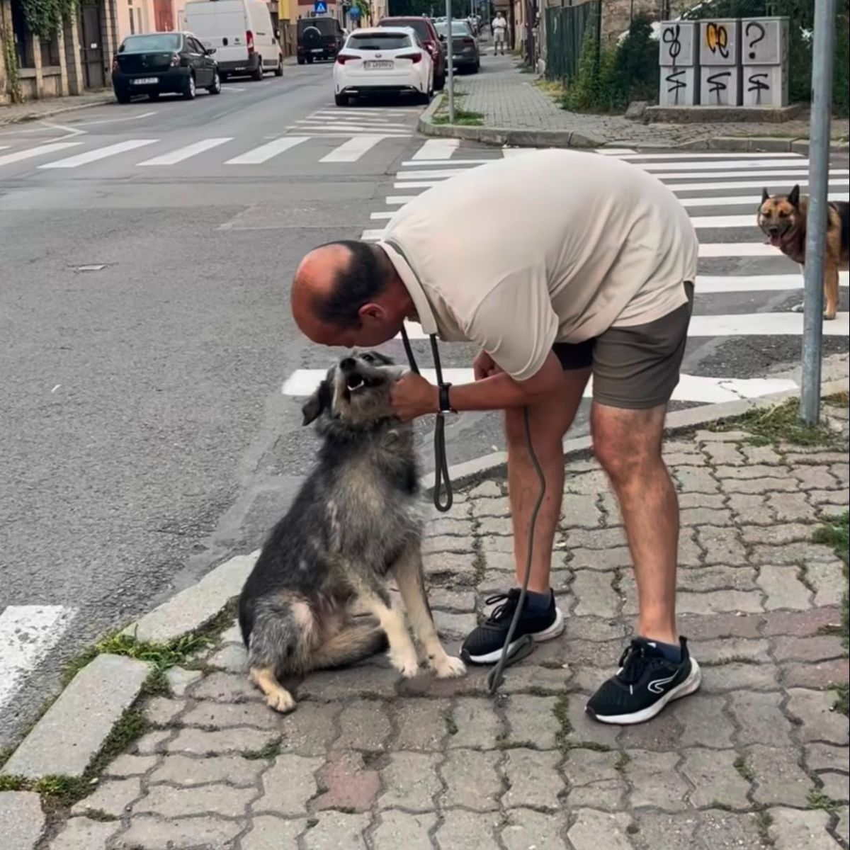 Un c&acirc;ine a fost abuzat pe strada de un barbat
