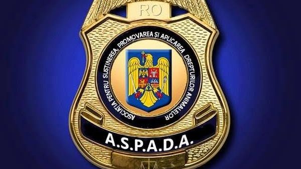 Update &icirc;n cazul bărbatului care și-a amenințat c&acirc;inele &icirc;n Sectorul 1. Care este părerea unui dresor de c&acirc;ini despre această situație?