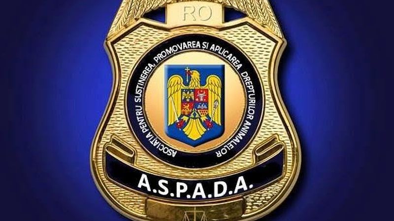 Update &icirc;n cazul bărbatului care și-a amenințat c&acirc;inele &icirc;n Sectorul 1. Care este părerea unui dresor de c&acirc;ini despre această situație?