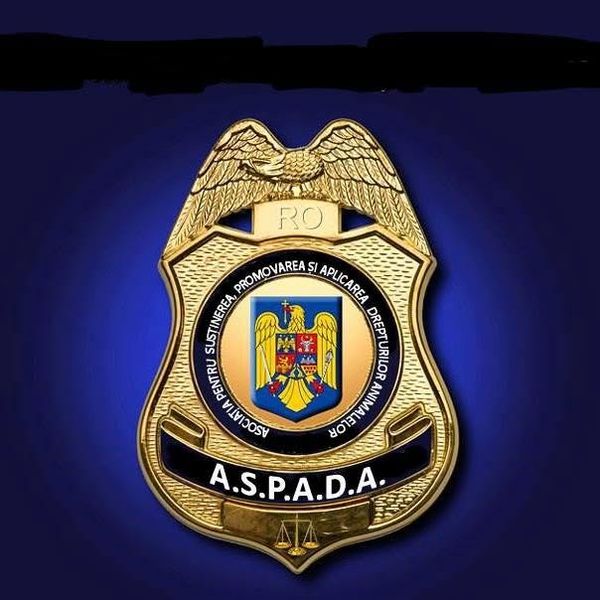 Update &icirc;n cazul bărbatului care și-a amenințat c&acirc;inele &icirc;n Sectorul 1. Care este părerea unui dresor de c&acirc;ini despre această situație?
