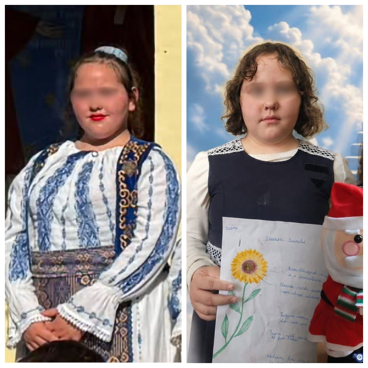 Cine este șoferul care a ucis-o pe Diana? 