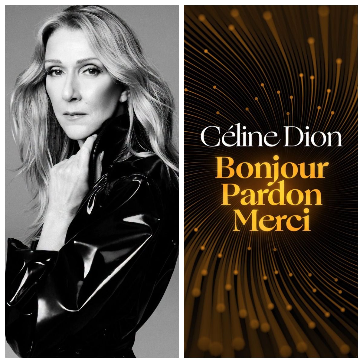 C&eacute;line Dion - Bonjour, Pardon, Merci&nbsp;