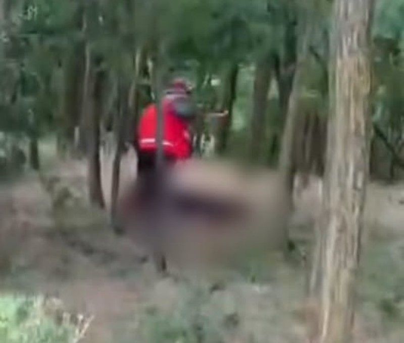 Polițiștii din Botoșani au deschis un dosar penal după apariția unei filmări în care un bărbat lovește mortal un câine într-o pădure.