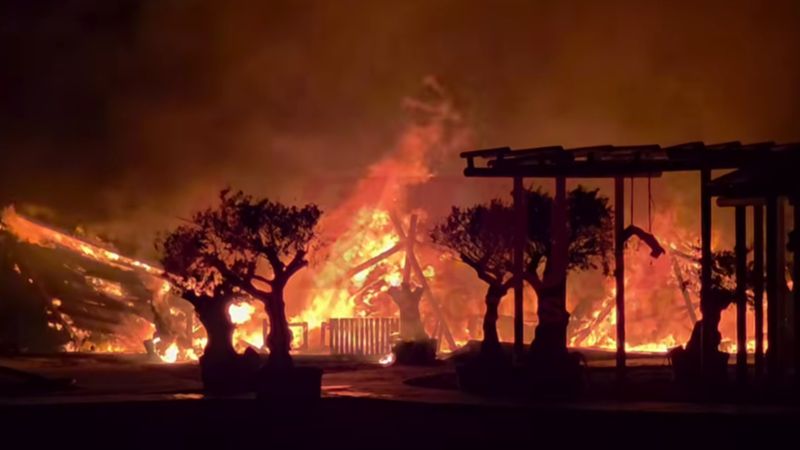 Incendiu în Mamaia în plin sezon estival 