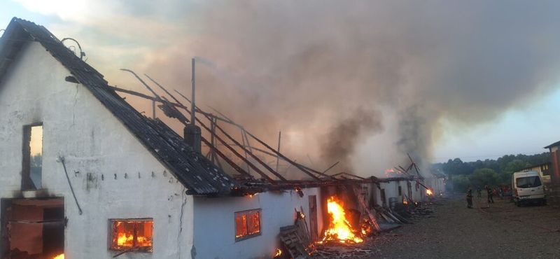 Care este cauza producerii incendiului de la crescătoria de găini? 