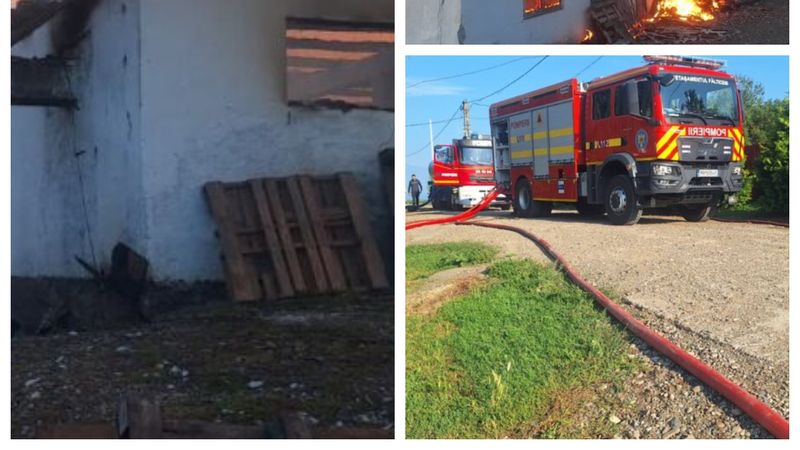PAGUBE URIAȘE după un incendiu izbucnit la o crescătorie de găini. Flăcările au cuprins hala și au distrus utilajele. 1.000 de păsări au murit