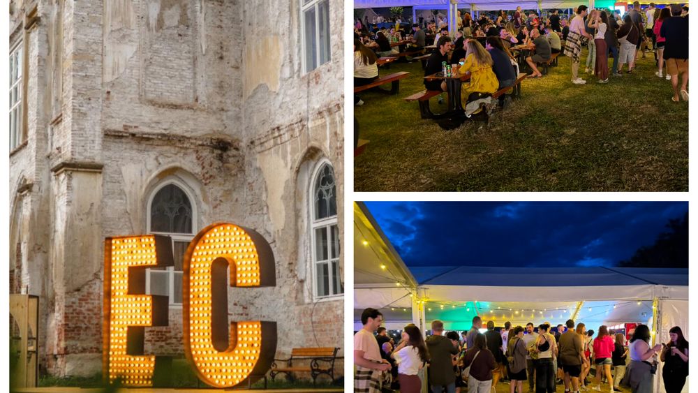 C&Acirc;T COSTĂ o porție de cartofi prăjiți și un hamburger la ELECTRIC CASTLE 2026? Primii festivalieri au ajuns de aseară la Bonțida