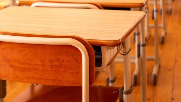Un elev din județul Botoșani a fost admis la liceu cu media 1,35. La ce specializare a fost repartizat acesta?