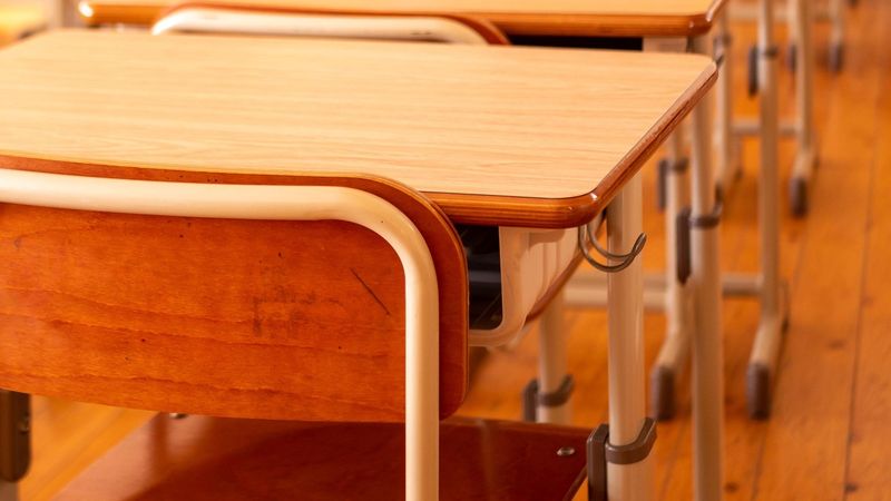 Un elev din județul Botoșani a fost admis la liceu cu media 1,35. La ce specializare a fost repartizat acesta?