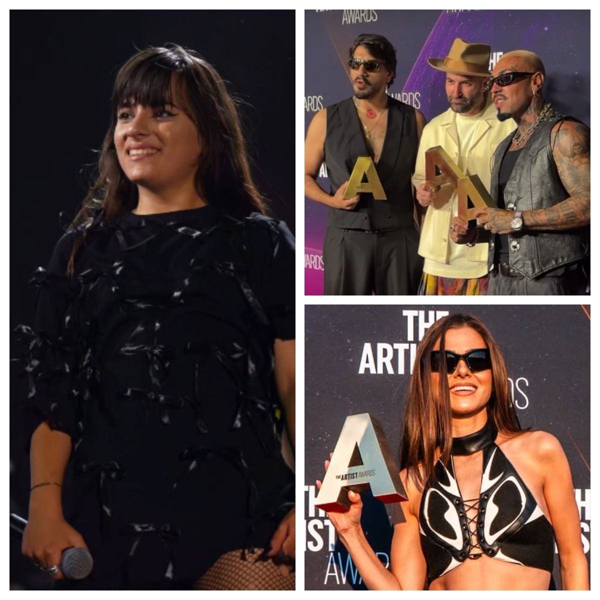 The Artist Awards 2026 și-a desemnat c&acirc;știgătorii