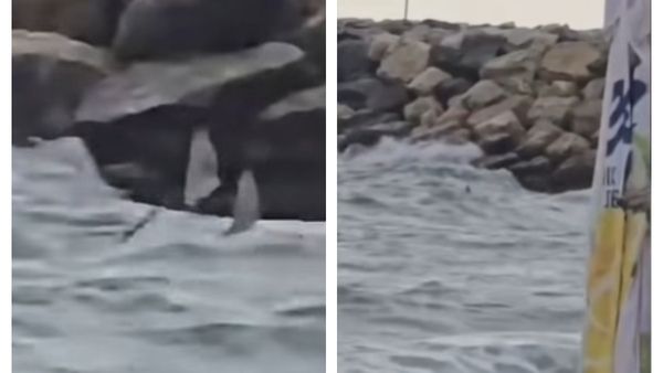 VIDEO Mărturia salvamarului care a fost &Icirc;N MIJLOCUL INTERVENȚIEI de la Costinești. Detalii tulburătoare despre DRONA observată &icirc;n mare l&acirc;ngă stabilopozi:"Poate să fie un pericol oric&acirc;nd. Este &icirc;ncărcată cu..."