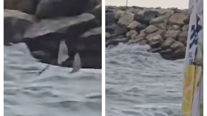 VIDEO Mărturia salvamarului care a fost &Icirc;N MIJLOCUL INTERVENȚIEI de la Costinești. Detalii tulburătoare despre DRONA observată &icirc;n mare l&acirc;ngă stabilopozi:"Poate să fie un pericol oric&acirc;nd. Este &icirc;ncărcată cu..."