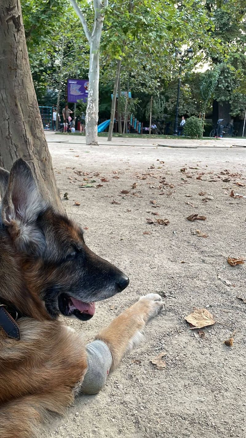 Lia Bugnar a vorbit despre o întâmplare care i-a lăsat un gust amar 